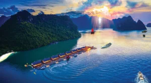Nhà Bè Hải Phong